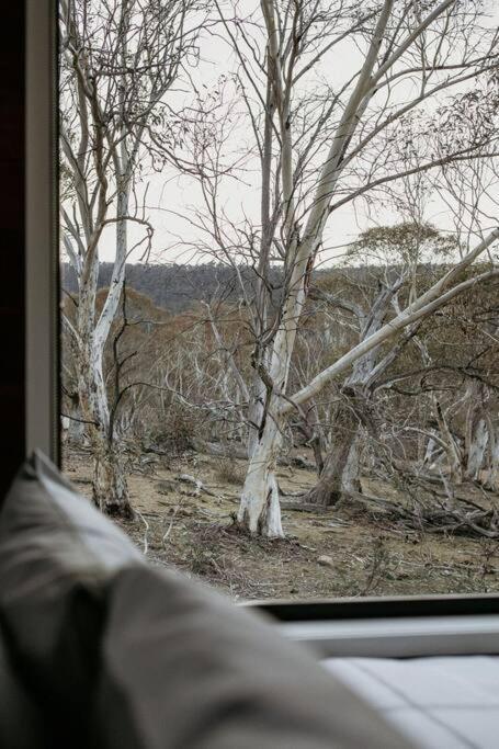 Big Yard Escapes - Two Off-Grid Tiny Houses On The Mowamba River Джиндабайн Екстер'єр фото