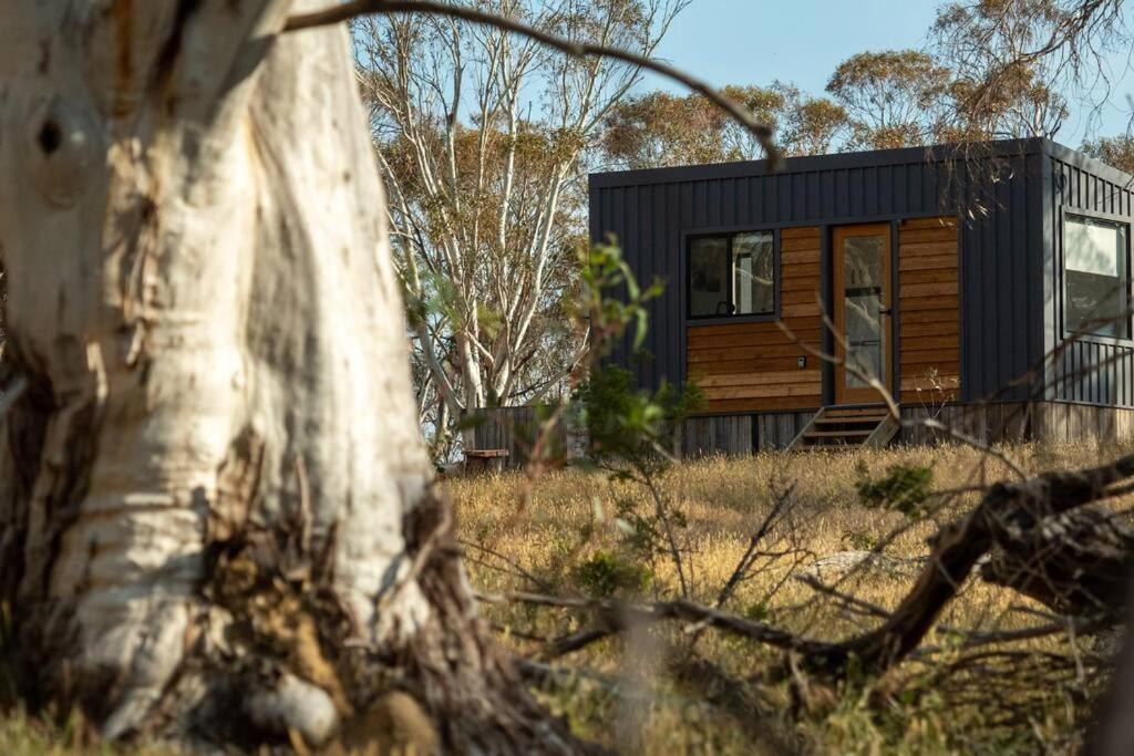 Big Yard Escapes - Two Off-Grid Tiny Houses On The Mowamba River Джиндабайн Екстер'єр фото